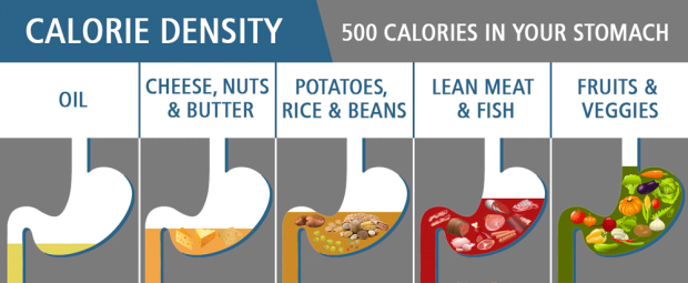 calorie-density